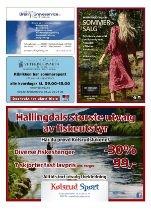 hallingdolen_gratis-20230617_000_00_00_092.pdf