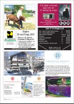 hallingdolen_magasin-20070324_000_00_00_020.pdf