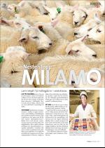hallingdolen_magasin-20070324_000_00_00_037.pdf