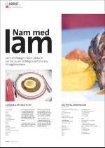 hallingdolen_magasin-20070324_000_00_00_038.pdf