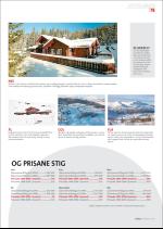 hallingdolen_magasin-20070324_000_00_00_079.pdf