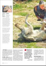 hallingdolen_magasin-20070616_000_00_00_022.pdf