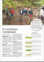 hallingdolen_magasin-20070616_000_00_00_031.pdf