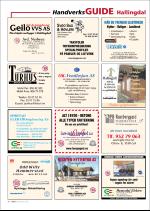 hallingdolen_magasin-20070616_000_00_00_038.pdf