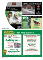hallingdolen_magasin-20070616_000_00_00_070.pdf