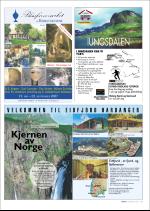 hallingdolen_magasin-20070616_000_00_00_071.pdf