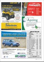 hallingdolen_magasin-20070616_000_00_00_081.pdf