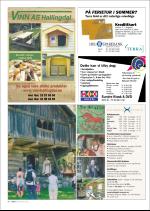 hallingdolen_magasin-20070616_000_00_00_086.pdf