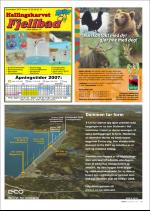 hallingdolen_magasin-20070616_000_00_00_087.pdf