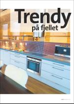 hallingdolen_magasin-20070922_000_00_00_021.pdf