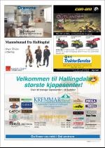 hallingdolen_magasin-20070922_000_00_00_041.pdf