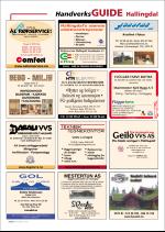 hallingdolen_magasin-20070922_000_00_00_050.pdf