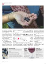 hallingdolen_magasin-20070922_000_00_00_056.pdf