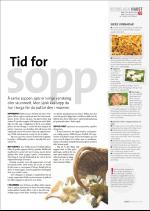 hallingdolen_magasin-20070922_000_00_00_065.pdf