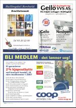 hallingdolen_magasin-20070922_000_00_00_066.pdf