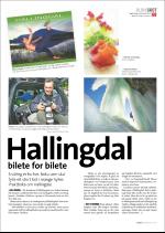 hallingdolen_magasin-20070922_000_00_00_069.pdf