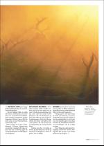 hallingdolen_magasin-20070922_000_00_00_071.pdf