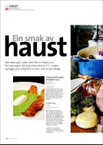 hallingdolen_magasin-20070922_000_00_00_084.pdf
