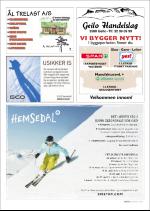 hallingdolen_magasin-20071227_000_00_00_017.pdf