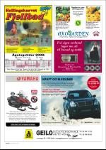 hallingdolen_magasin-20071227_000_00_00_036.pdf