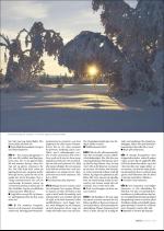 hallingdolen_magasin-20071227_000_00_00_071.pdf