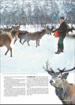 hallingdolen_magasin-20071227_000_00_00_079.pdf