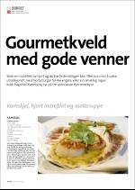 hallingdolen_magasin-20071227_000_00_00_082.pdf