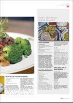 hallingdolen_magasin-20071227_000_00_00_085.pdf
