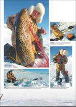 hallingdolen_magasin-20080308_000_00_00_019.pdf