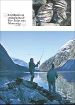 hallingdolen_magasin-20080308_000_00_00_022.pdf