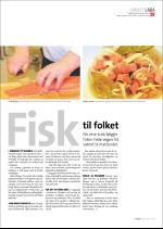 hallingdolen_magasin-20080308_000_00_00_029.pdf