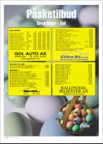 hallingdolen_magasin-20080308_000_00_00_032.pdf