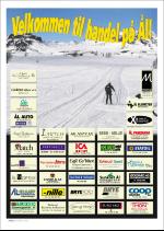 hallingdolen_magasin-20080308_000_00_00_064.pdf