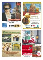 hallingdolen_magasin-20080308_000_00_00_065.pdf