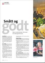 hallingdolen_magasin-20080308_000_00_00_068.pdf
