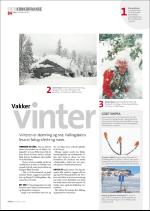 hallingdolen_magasin-20080308_000_00_00_084.pdf
