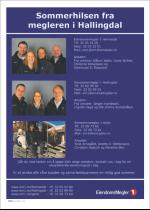 hallingdolen_magasin-20080614_000_00_00_010.pdf