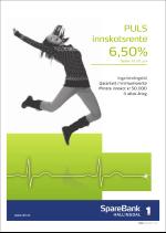 hallingdolen_magasin-20080614_000_00_00_011.pdf