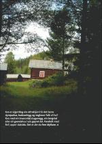 hallingdolen_magasin-20080614_000_00_00_013.pdf