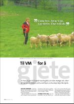hallingdolen_magasin-20080614_000_00_00_034.pdf