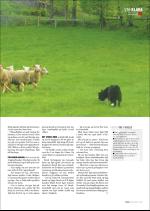 hallingdolen_magasin-20080614_000_00_00_035.pdf