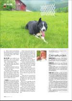 hallingdolen_magasin-20080614_000_00_00_036.pdf