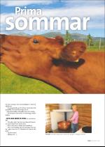 hallingdolen_magasin-20080614_000_00_00_057.pdf
