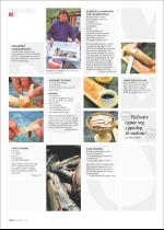 hallingdolen_magasin-20080614_000_00_00_062.pdf