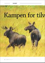 hallingdolen_magasin-20080920_000_00_00_012.pdf