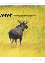 hallingdolen_magasin-20080920_000_00_00_013.pdf