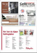 hallingdolen_magasin-20080920_000_00_00_016.pdf
