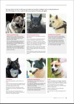hallingdolen_magasin-20080920_000_00_00_019.pdf