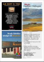 hallingdolen_magasin-20080920_000_00_00_074.pdf