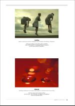 hallingdolen_magasin-20080920_000_00_00_083.pdf